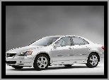 Acura RL, Lewy, Bok