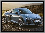 Audi R8 Coupe Performance, Bok