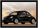 New Beetle, Czarne