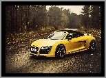 Droga, Audi R8, Las