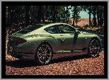 Zielony, Bentley Continental GT